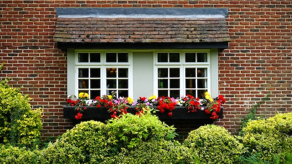 a house's windows